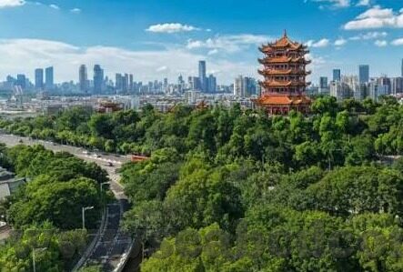 91精品无人区麻豆乱码一区2区-风月无边，探索互联网精神边缘——匿名、自由与责任