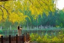 91麻豆国产视频-乐在当下，探索91麻豆国产视频的文化现象与社会视角
