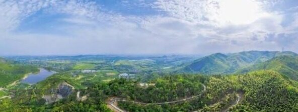 大象传媒官网1000-探索大象传媒官网的深度与广度，一个创意与技术的交汇点