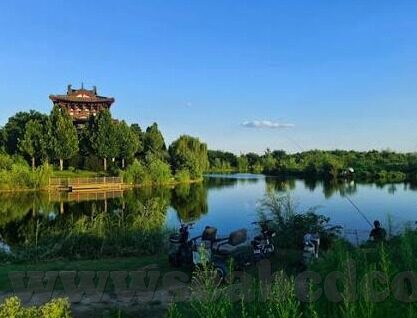 大象做梦文化传媒-大象做梦文化传媒，编织梦想与现实的桥梁