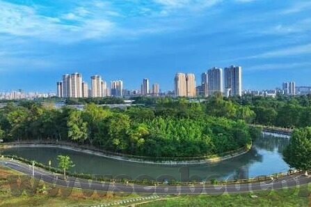 麻豆传媒网站免费-获取网络资源的新指南