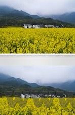 麻豆短视频ios下载-麻豆短视频——打造iOS端极致娱乐新体验