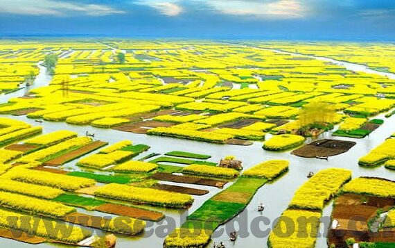 免费91麻豆精品国产自产自线-免费91麻豆精品国产，浅析网络自制剧的兴起与影响