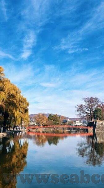 全国最大成人免费网站视频-全国最大成人免费网站视频，网络时代的伦理与边界