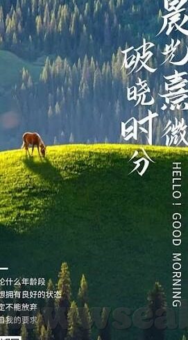 中文乱码免费一区二区三区-探索中文网络内容的多元化与健康发展